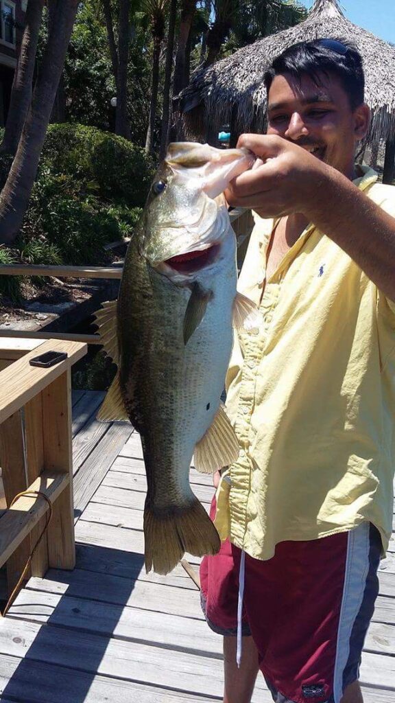 A man holding a large bass on a dock.