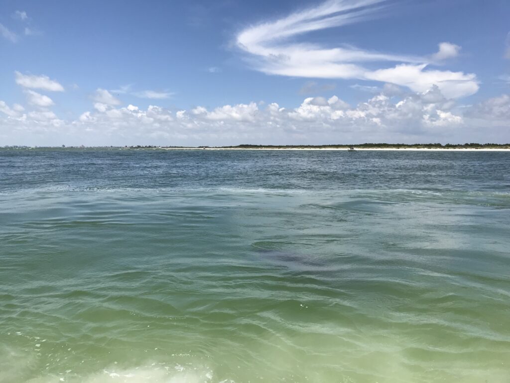A view of the ocean from a boat.