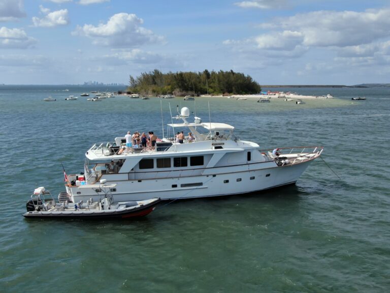 Dive into the Enchanting World of Dolphin Tours in Egmont Key and St Petersburg, Florida