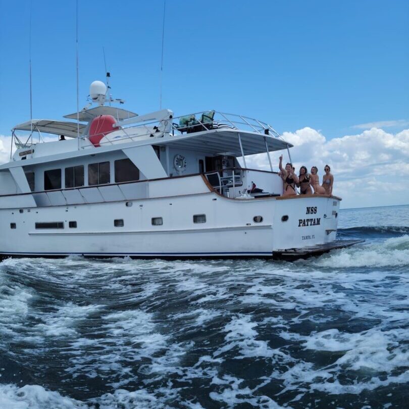 Dolphin Tours with Charter Finders Charter Finders LLC